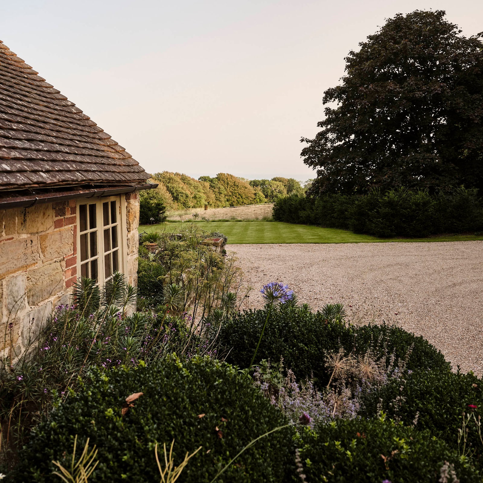 Meet the young generation of gardeners making gardening cool